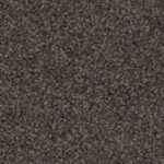 Radiance 41/-