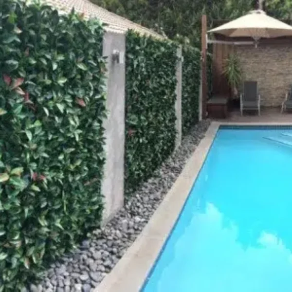 PP Poolside Artificial Green Wall