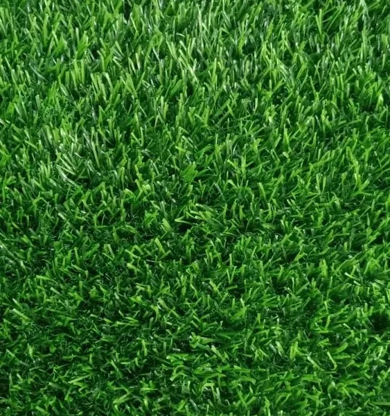 We “Signesta Enterprise” are a leading Supplier of a wide range of Green Artificial Grass.We offer these products at Wholesale rates and deliver these within the promised time-frame. All products are:- Water Proof Termite Proof Artificial grass easy to install, removable, easy to clean.