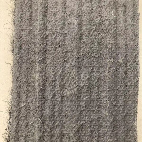 Gold Rush Carpet with Belgium Backing